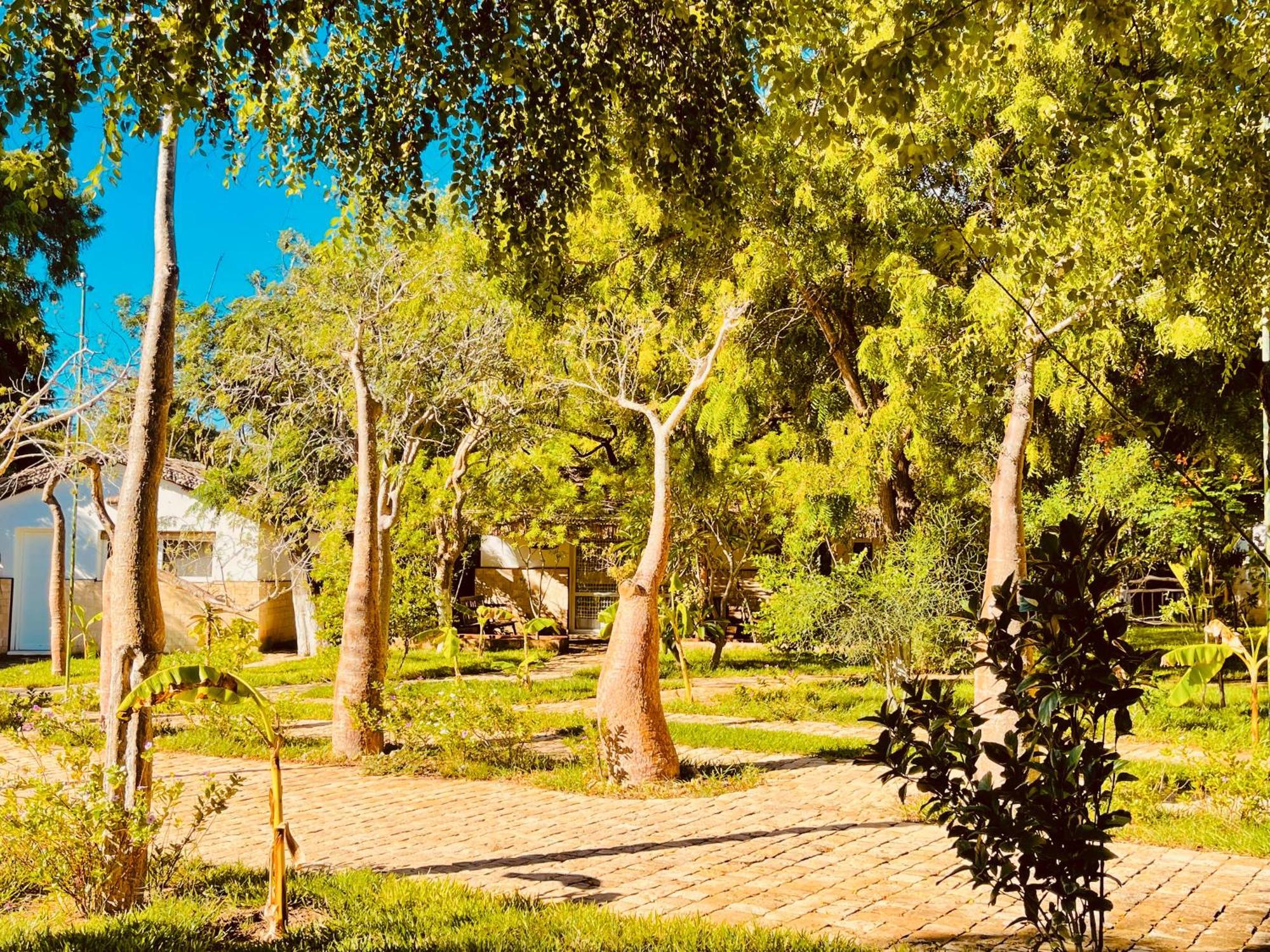 Vovo Telo Lodge Туліара Екстер'єр фото
